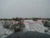 2001Snow.JPG (44955 bytes)